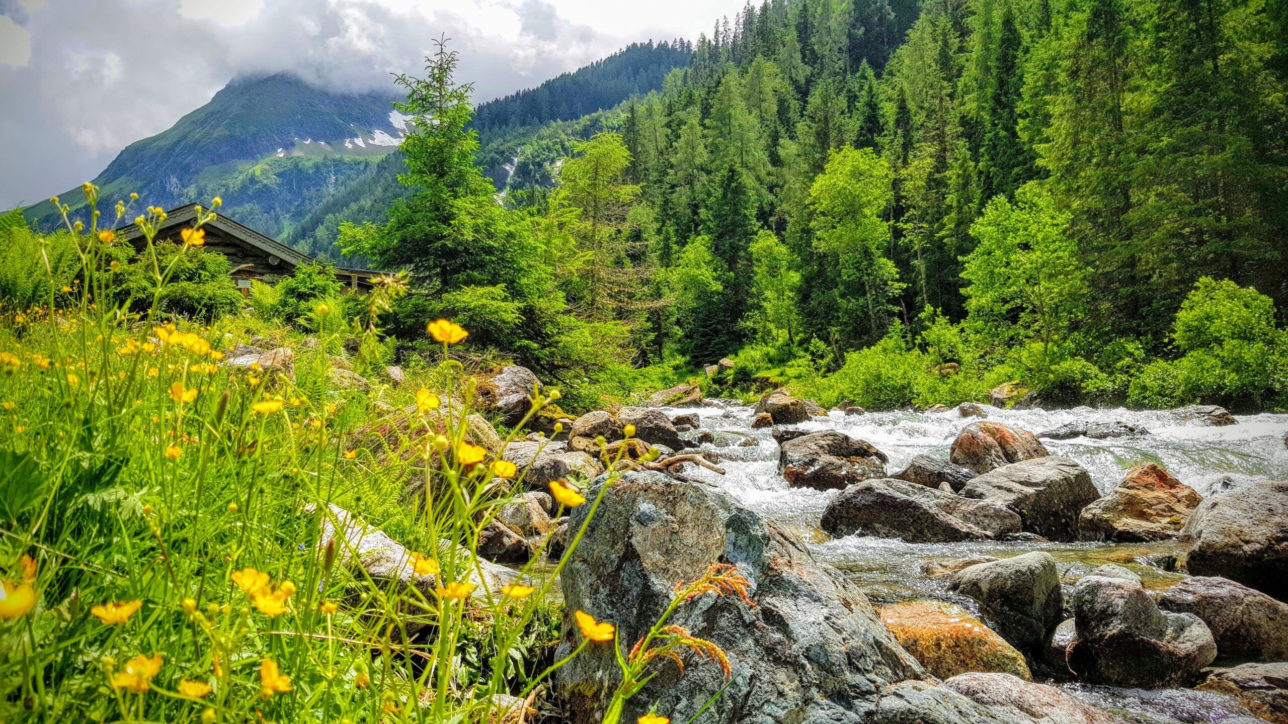  Sumarferðir til Austurríkis 